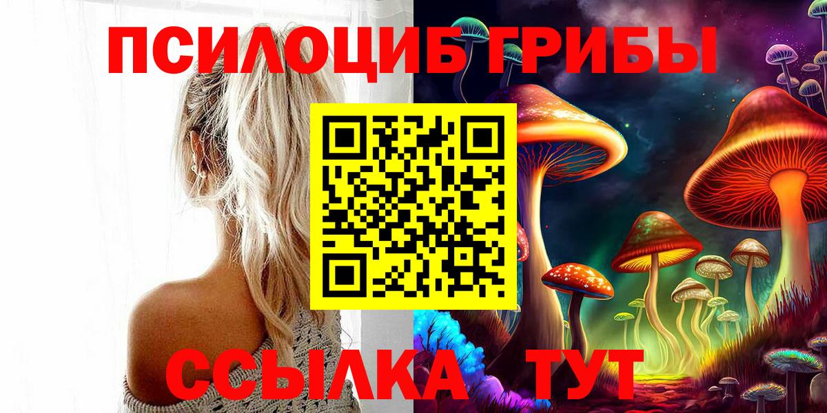 Новотроицк  Галлюциногенные грибы Psilocybine cubensis  Галлюциногенные грибы Psilocybine cubensis  Вход с VPN 